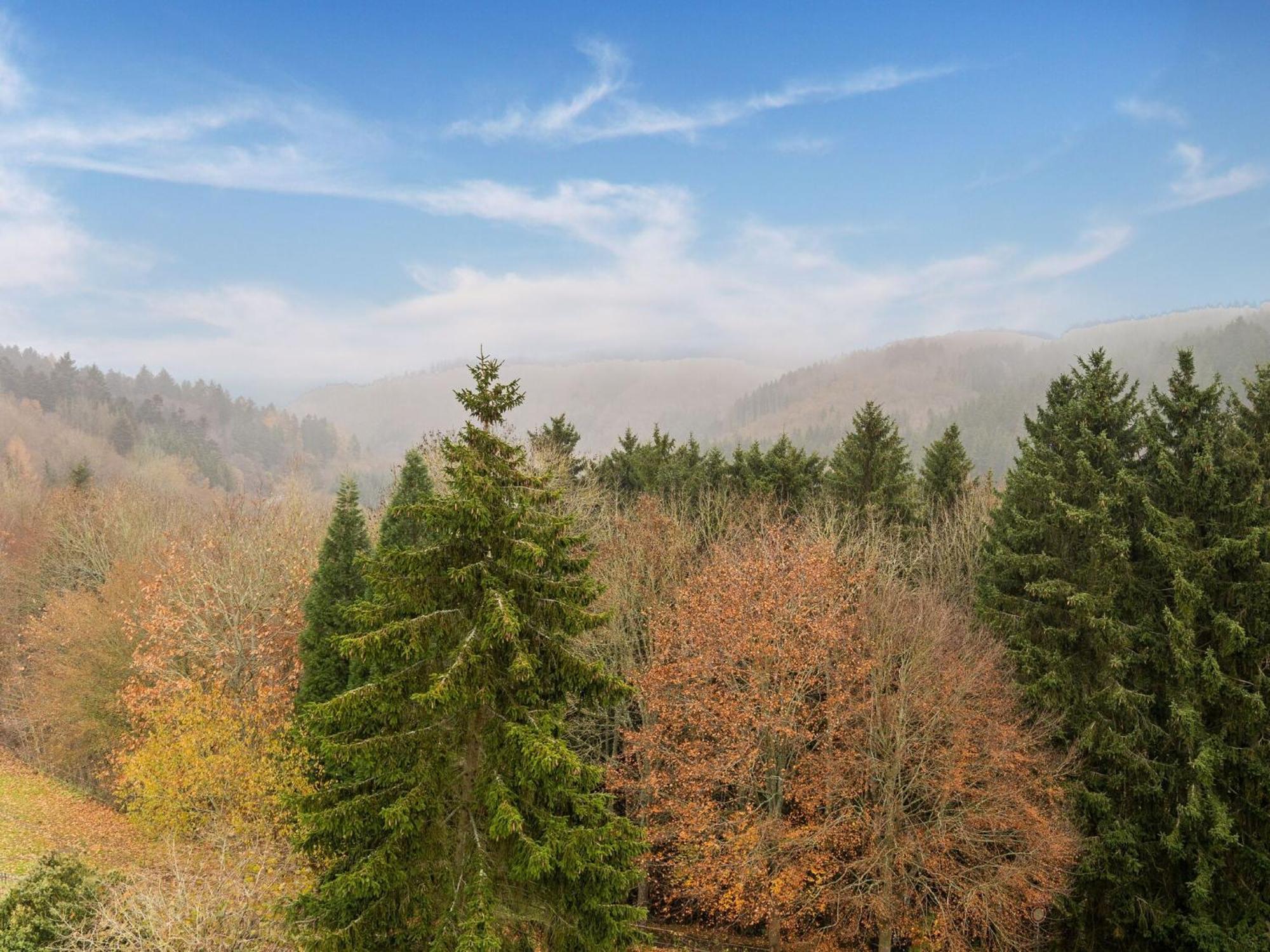 Apartment In Hellenthal With Wellness Oasis ภายนอก รูปภาพ